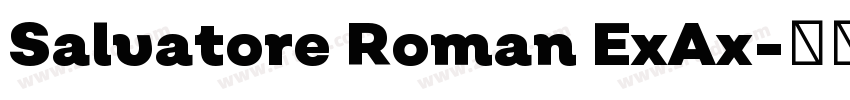 Salvatore Roman ExAx字体转换